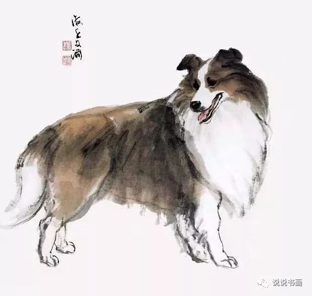 今晚四不像最准确一肖,今晚四不像最准确一肖——揭秘生肖预测的神秘面纱