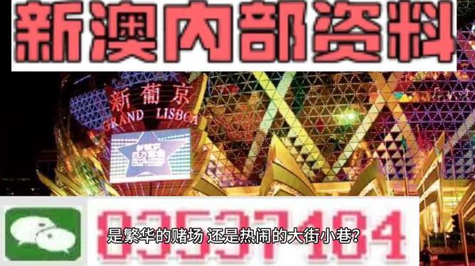 澳门天天开彩精准资料,澳门天天开彩精准资料，探索彩票世界的秘密