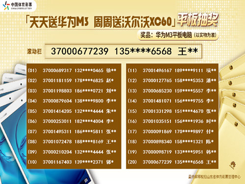 2025年天天彩正版资料,探索2025年天天彩正版资料，揭秘彩票行业的未来趋势