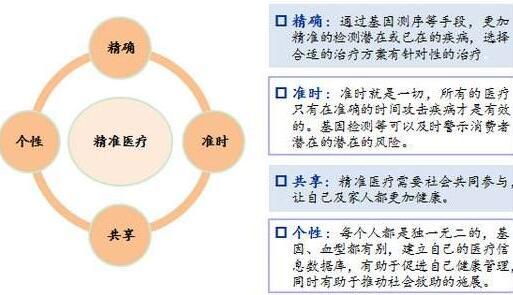 精准一肖100准确精准的含义,精准一肖，揭秘准确精准预测之真谛