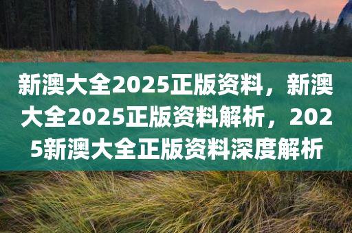 新澳2025年最新版资料,新澳2025年最新版资料详解