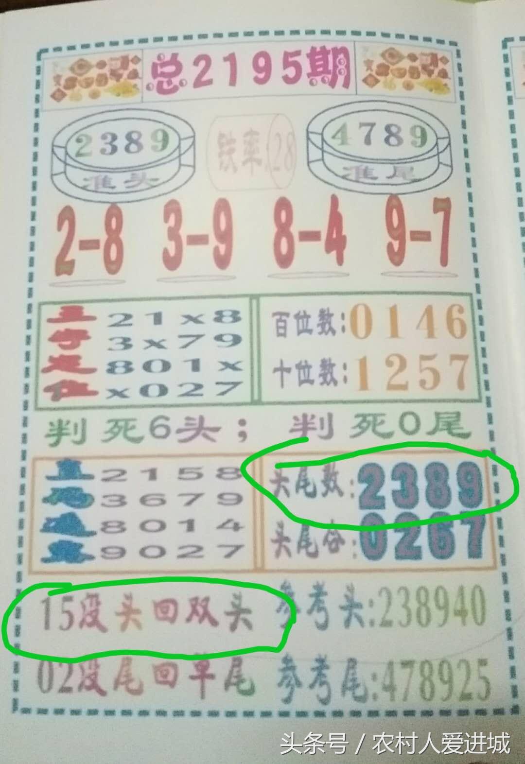 新澳门中特期期精准,新澳门中特期期精准的预测与探索