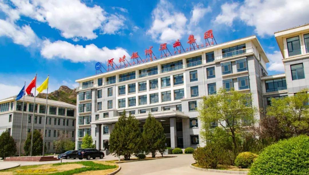 凤凰高手资料论坛中心,凤凰高手资料论坛中心，探索、交流与成长的热土