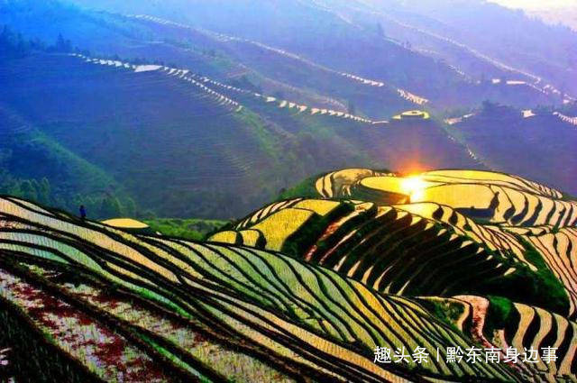 6944cc彩资料全 免费一,探索6944cc彩资料全免费的世界