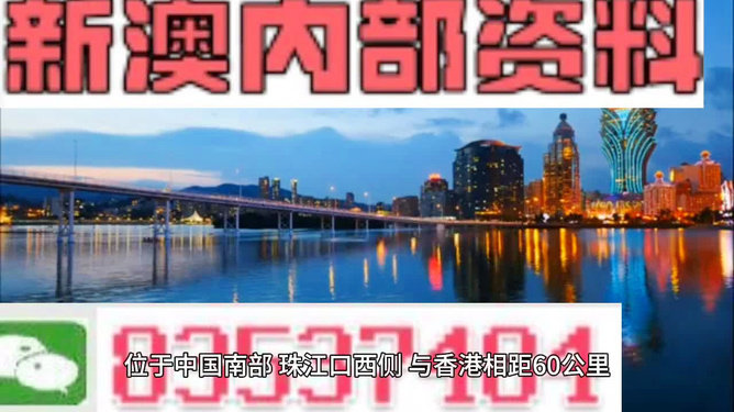 新澳门精准资料大全免费查询,澳门精准资料大全，免费查询的魅力与重要性