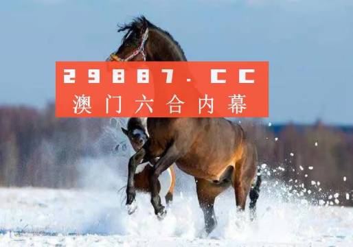 2023澳门天天彩免费资料,澳门天天彩的奥秘与免费资料探索（2023版）