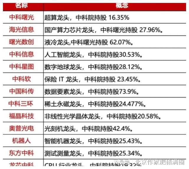 最准一肖一码一一中特,揭秘最准一肖一码一一中特之谜