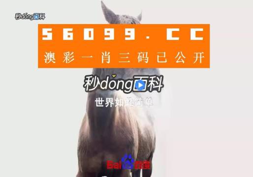 香港免费资料王中王资料,香港免费资料王中王资料，揭秘其背后的秘密与价值