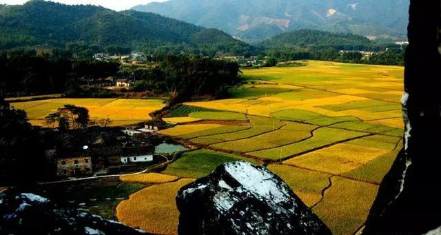 2025年新澳门开采结果,探索未来之门，澳门新矿藏开采结果展望（2025年）