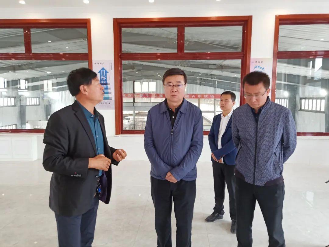 新澳内部资料精准大全,新澳内部资料精准大全揭秘与探索