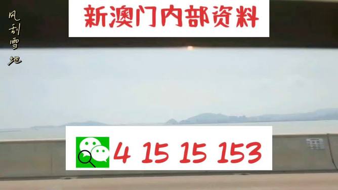 警惕新澳门精准四肖期中特公开,警惕新澳门精准四肖期中特公开，揭示彩票背后的真相与风险