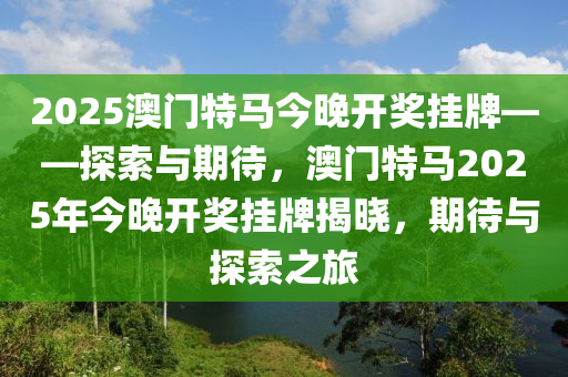 2025澳门特马今晚开什么,澳门特马今晚开什么，探索未来的幸运之门