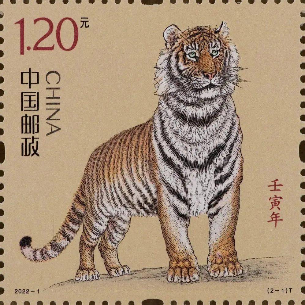 四不像323期图生肖图,四不像323期图生肖图，神秘文化与艺术融合的盛宴