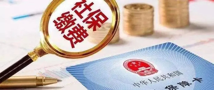 正版挂牌资料全篇100%,正版挂牌资料全篇100%的保障与重要性