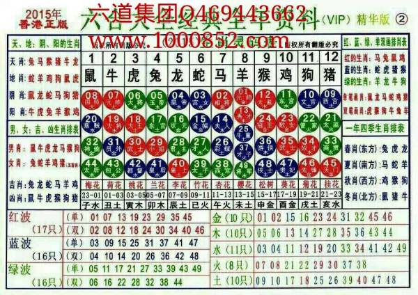 2025十二生肖49码表,揭秘十二生肖与数字49的奇妙结合——2025年十二生肖49码表