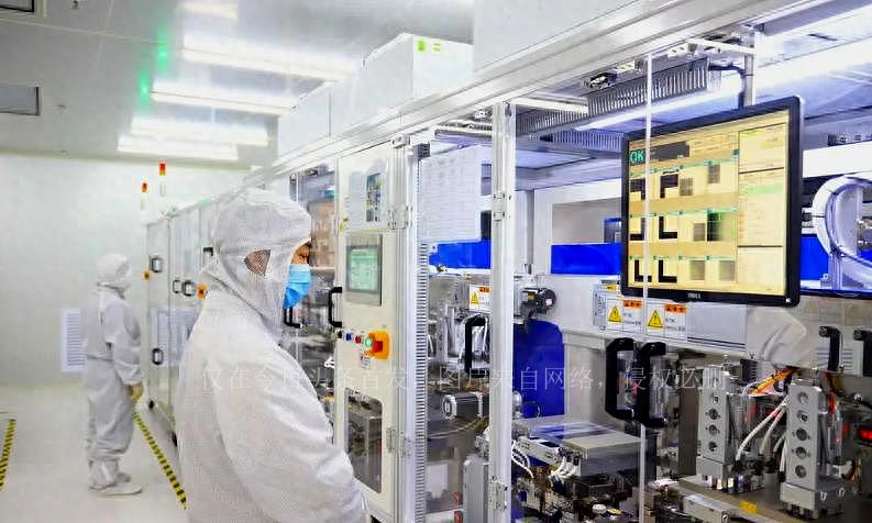 2025正版资料全年免费公开,迈向2025，正版资料全年免费公开的崭新篇章