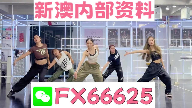 澳门王中王一肖一中一码,澳门王中王一肖一中一码的秘密与传奇