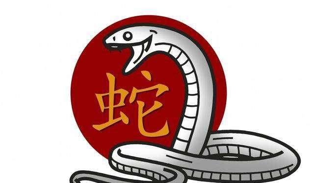 今晚澳门特马开的什么,今晚澳门特马开出的幸运数字与生肖揭秘