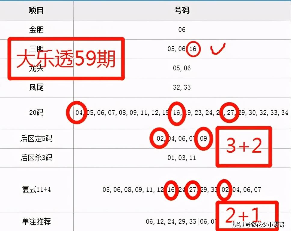 四期期准三期内必出最新消息,四期期准三期内必出最新消息的全面解读