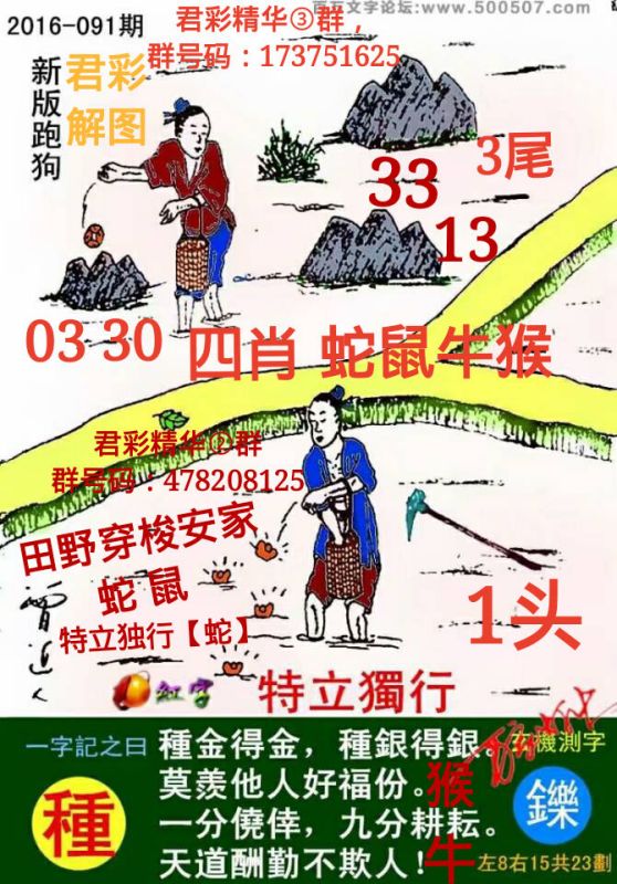 跑狗图993994www跑狗,跑狗图，一种独特的文化现象与公众娱乐