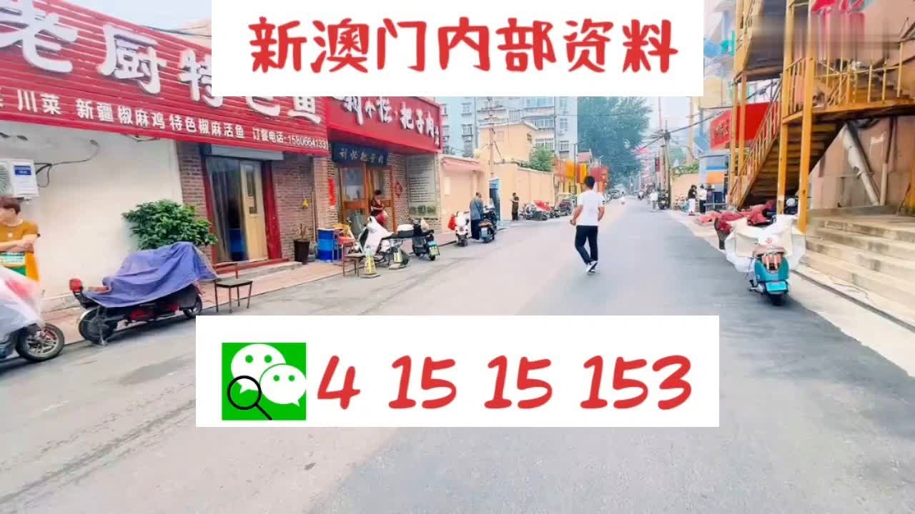 新澳门天天开好彩大全512,新澳门天天开好彩大全512，探索与体验彩票的魅力