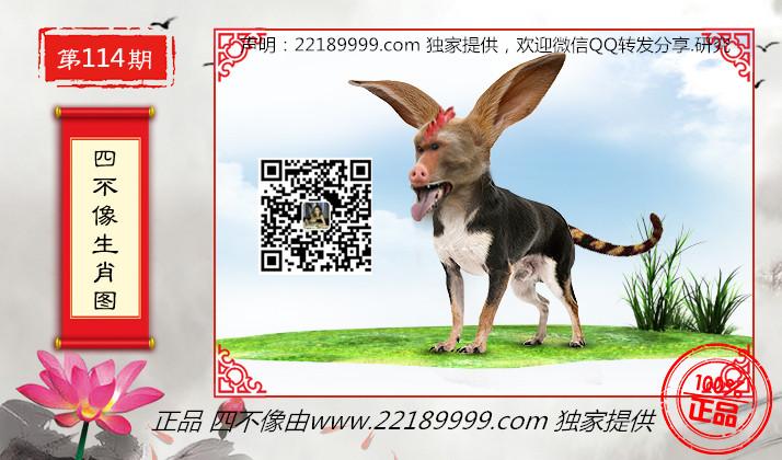 澳门最准的四不像资料游戏,澳门最准的四不像资料游戏，探索与解析