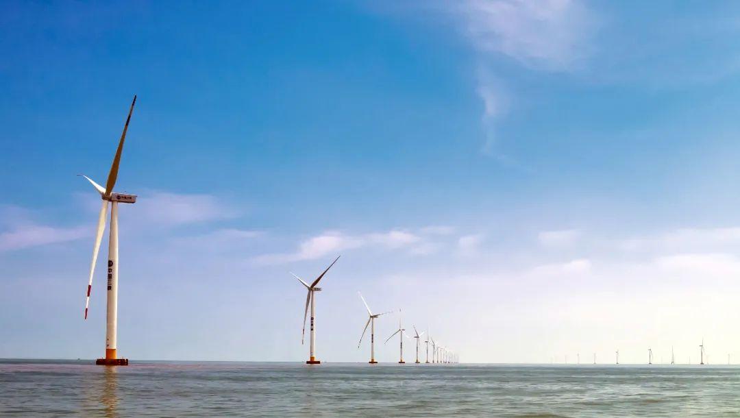 2025全年资料免费大全,迈向2025，全年资料免费大全的无限可能