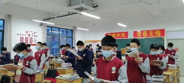 二四六天天彩资料大全网最新600,二四六天天彩资料大全网最新动态，探索与解析