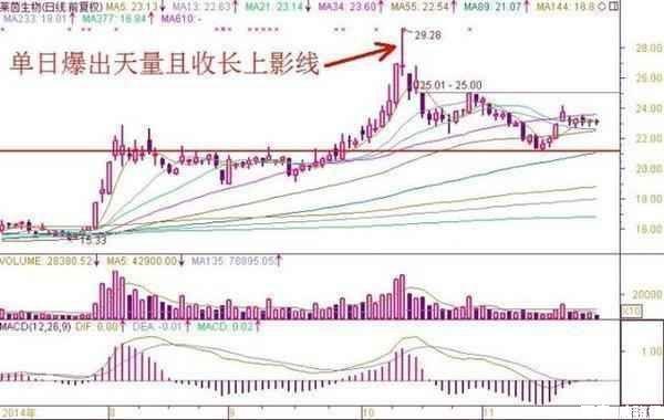 澳门三中三码精准100%,澳门三中三码精准预测，揭秘成功概率背后的秘密