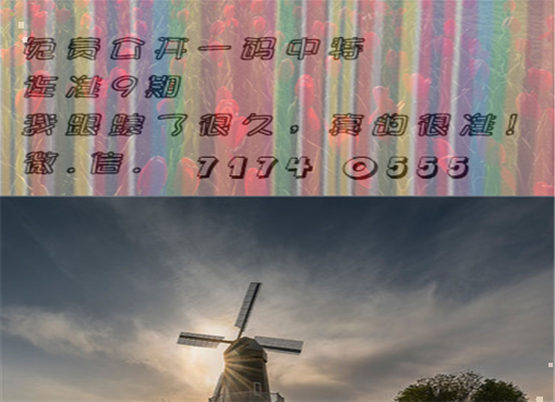 三肖三期必出特马,三肖三期必出特马之奥秘揭秘