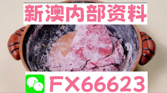 新澳门内部一码精准公开网站,探索新澳门内部一码精准公开网站——揭开彩票文化的神秘面纱