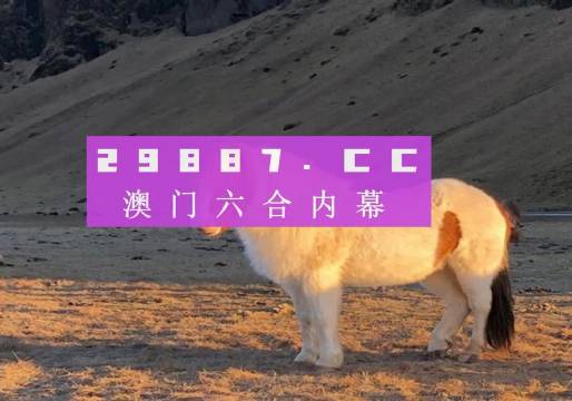 澳门一肖一码一必中一肖,澳门一肖一码一必中一肖的秘密与探索