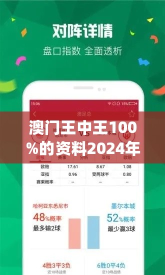 王中王网站最快开奖,王中王网站，极速开奖体验