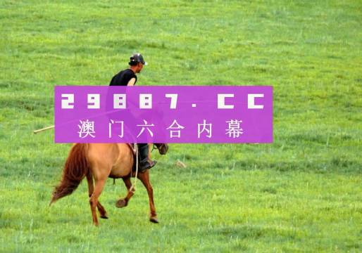 新澳门六开彩正版免费,探索新澳门六开彩正版免费的魅力与真相