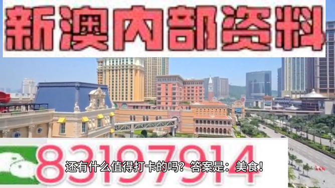 澳门正版资料全年免费看啊,澳门正版资料全年免费看，探索与体验