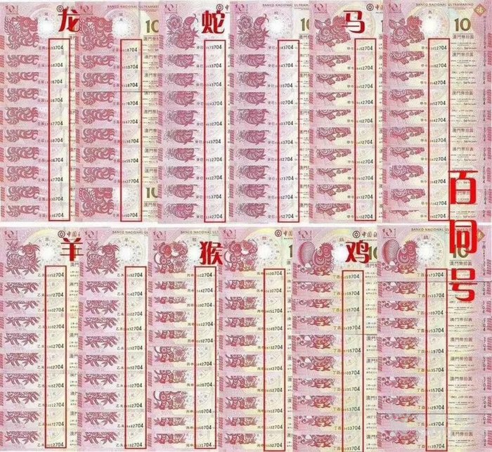 新澳门出最准生肖,新澳门出最准生肖——探寻生肖预测的奥秘