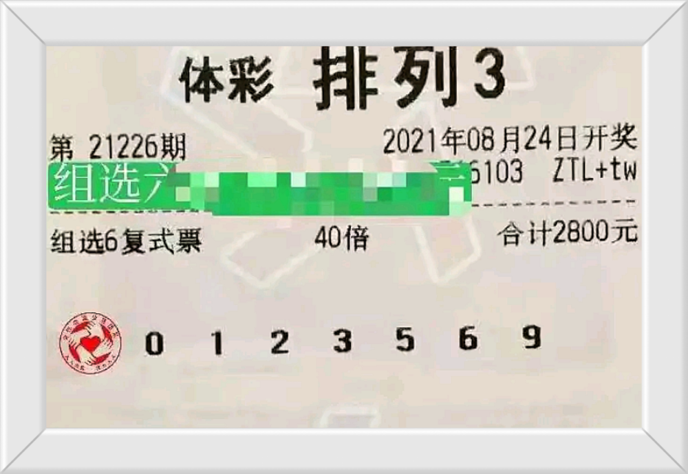 溴门天天彩最准最快资料,溴门天天彩最准最快资料，揭秘彩票行业的精准预测之道