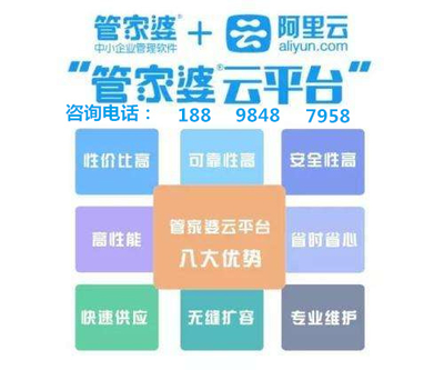7777788888管家婆资料,揭秘7777788888管家婆资料，背后的故事与深度解析