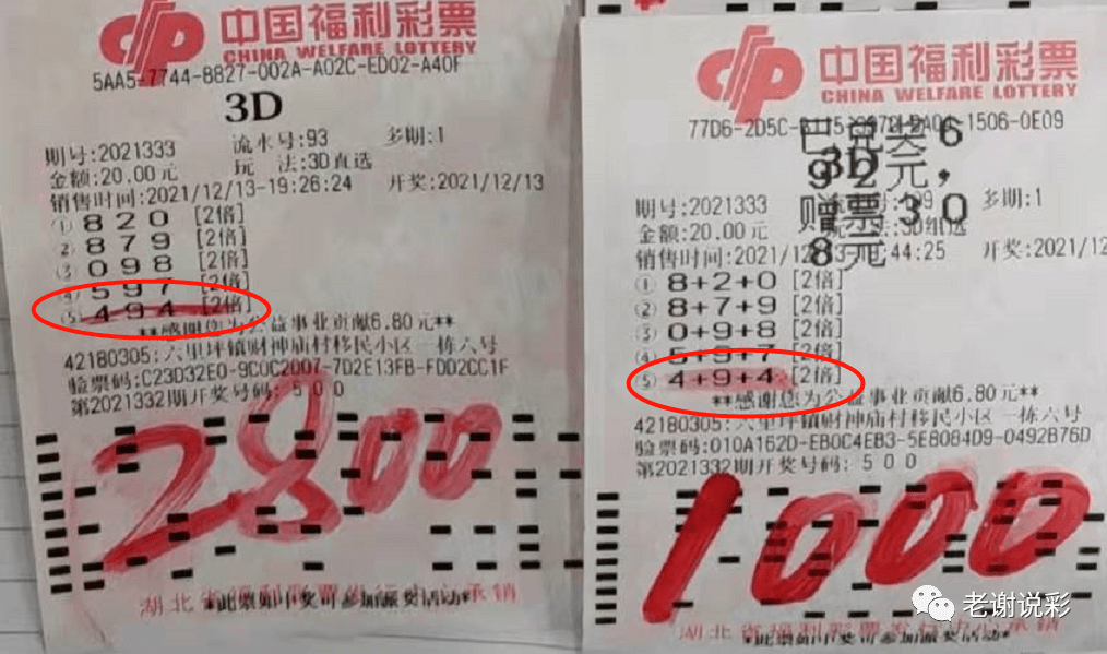 新奥门天天彩资料免费,新奥门天天彩资料免费，探索彩票世界的奥秘与乐趣