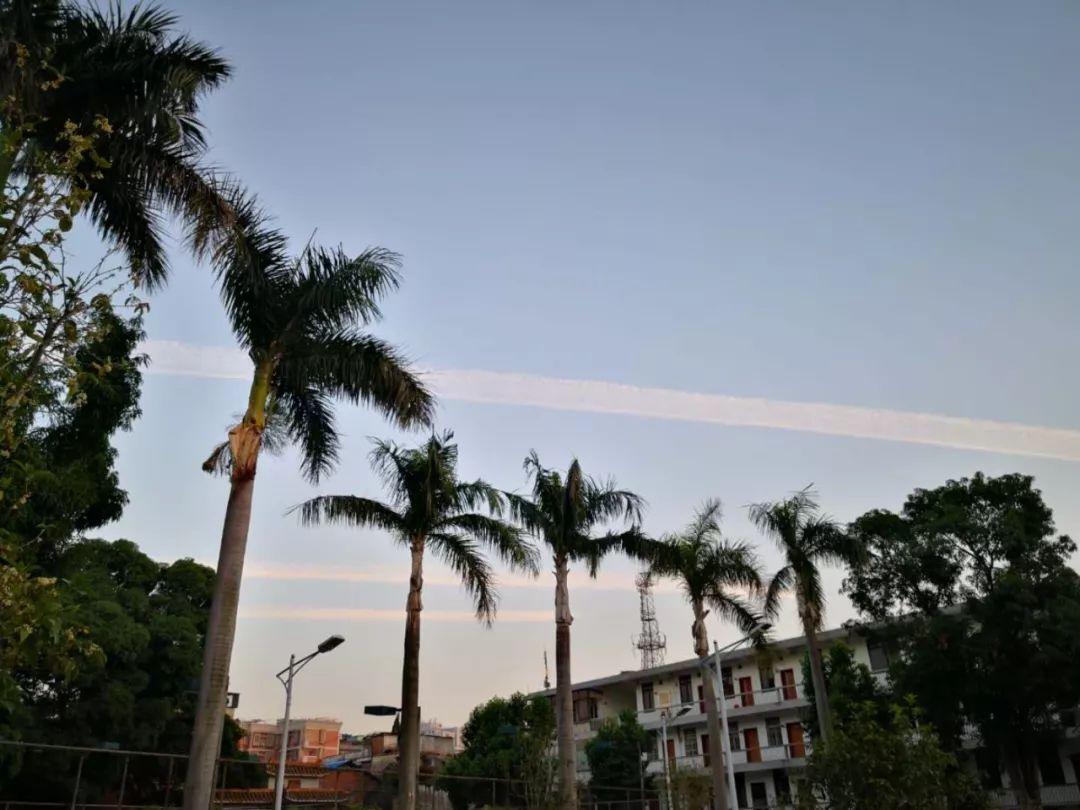 天下天空彩免费资料大全百度,探索天下天空彩，免费资料的深度解析与百度检索指南