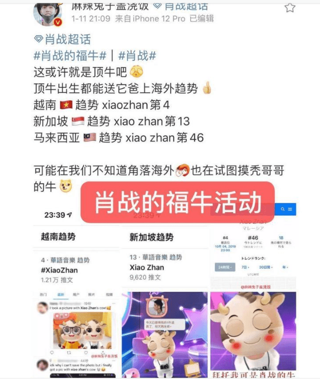 一肖一码一中一特,一肖一码一中一特的神秘世界探索