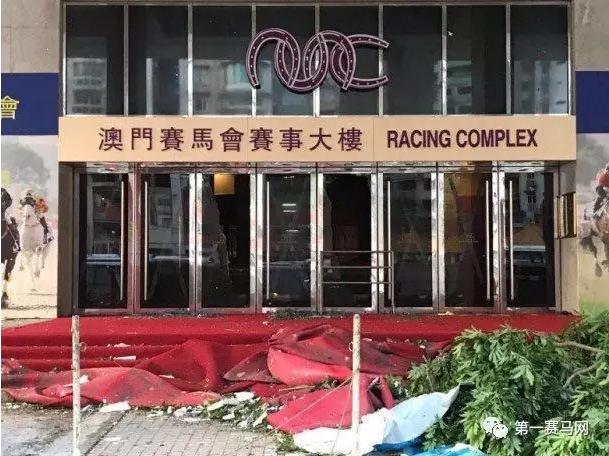 马会传真资料2025新澳门,马会传真资料与未来澳门的发展展望（2025年展望）