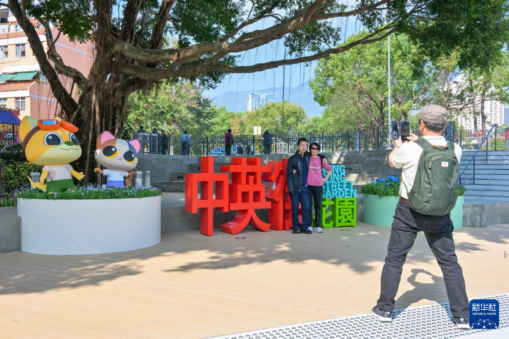香港资料大全正版资料,香港资料大全正版资料，深度探索香港的多元魅力