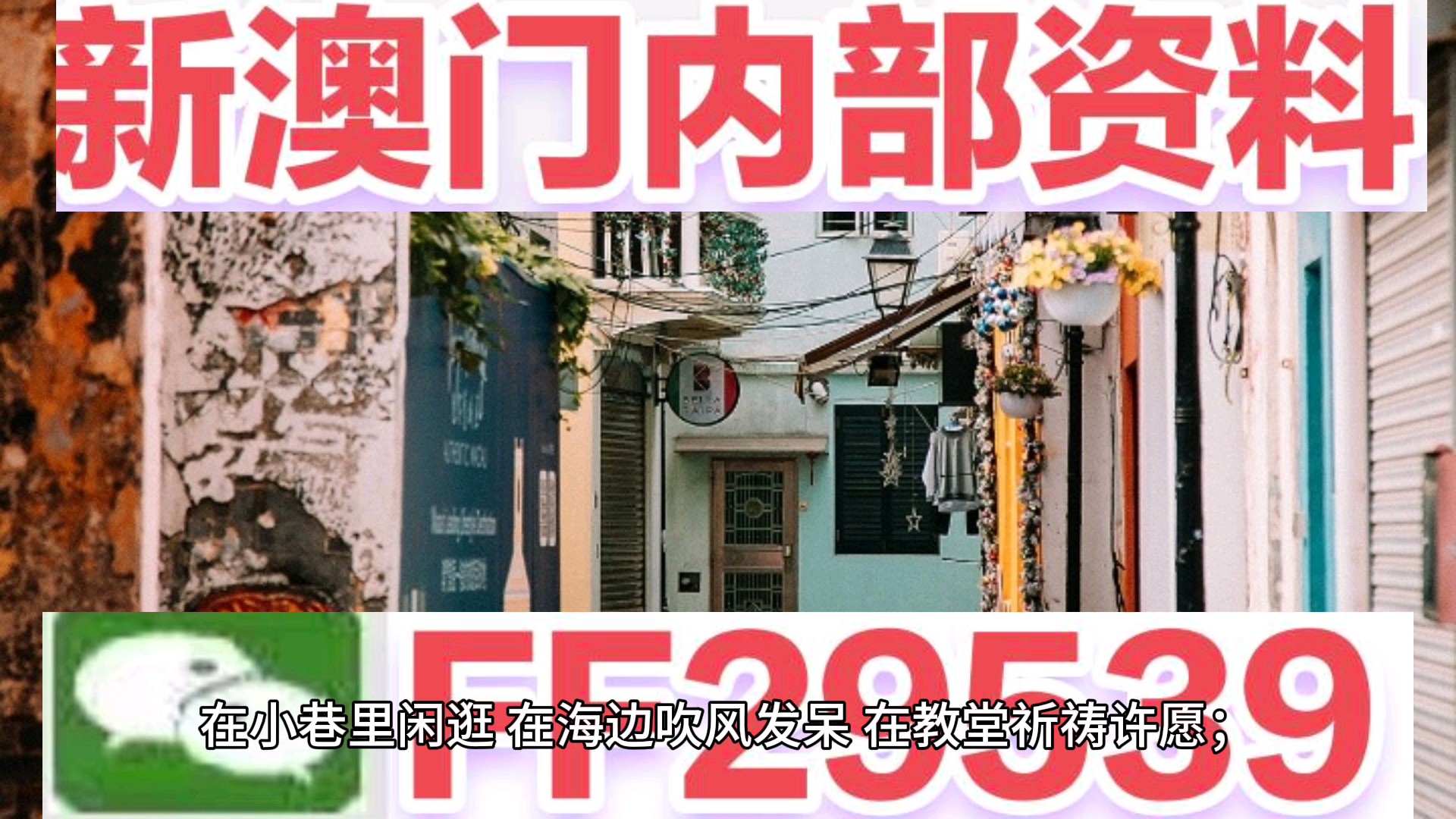新澳门现场开奖直播观看视频,新澳门现场开奖直播，体验真实的彩票魅力