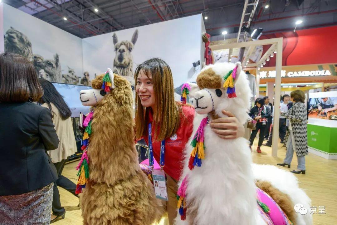 白小姐一肖一必中一肖,揭秘白小姐一肖一必中一肖的神秘面纱