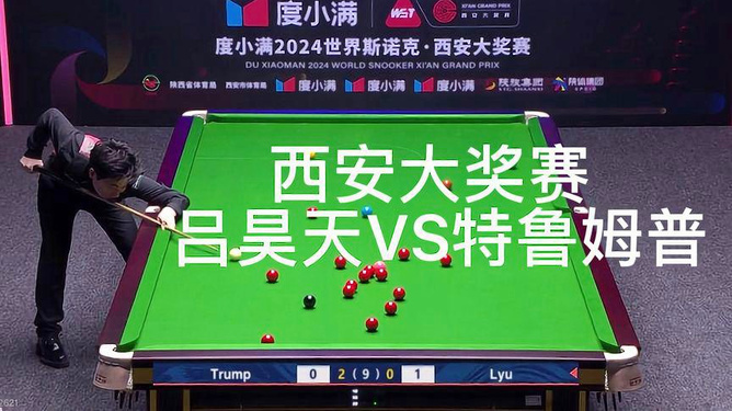 澳门今晚一肖必中特,澳门今晚一肖必中特，揭秘生肖彩票的魅力与神秘