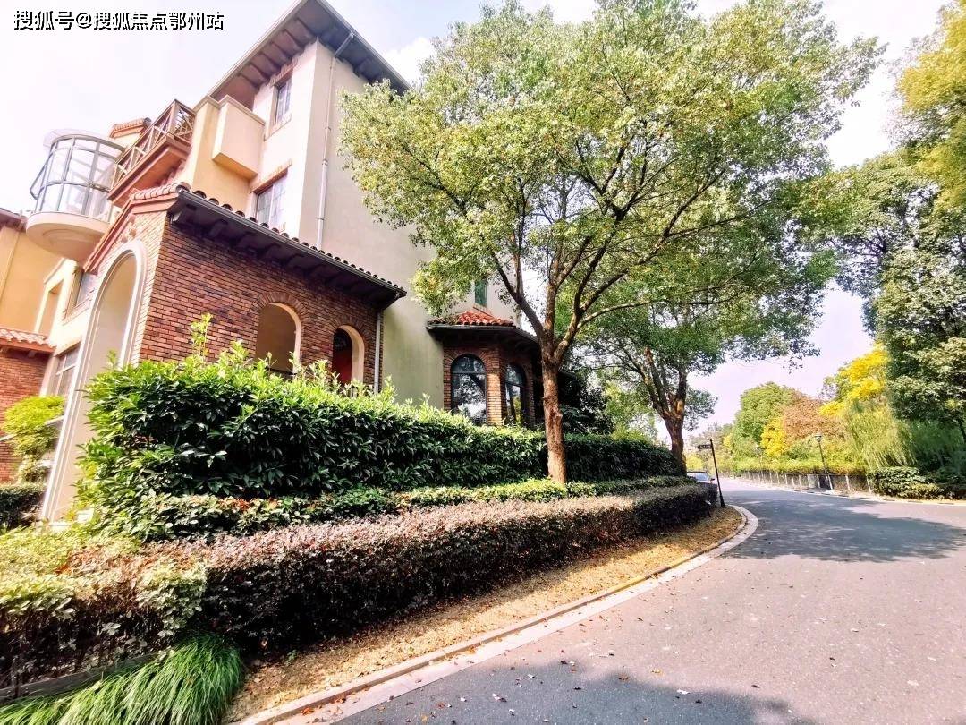 新澳今日最新资料,新澳今日最新资料深度解析