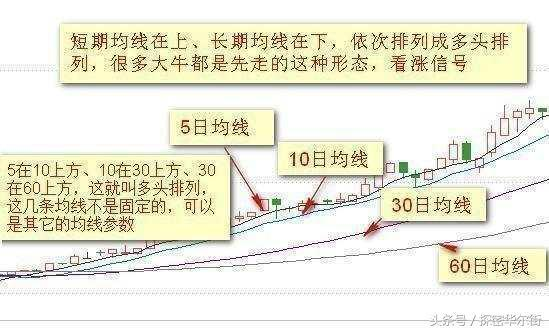 三肖三期必出特马,三肖三期必出特马之奥秘探寻