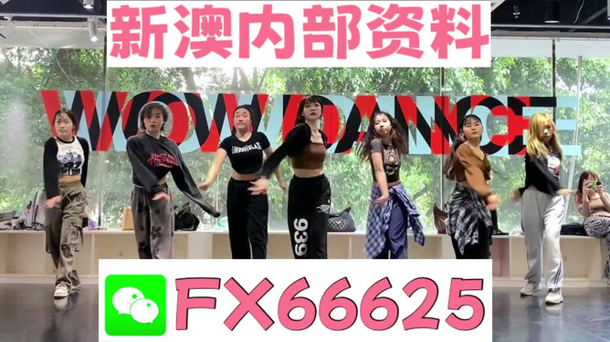 新澳六叔精准资料4988,新澳六叔精准资料4988，揭秘背后的故事与探索价值
