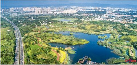 2025年正版资料免费大全亮点,2025正版资料免费大全，未来知识资源的璀璨亮点